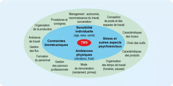 Troubles musculo-squelettiques